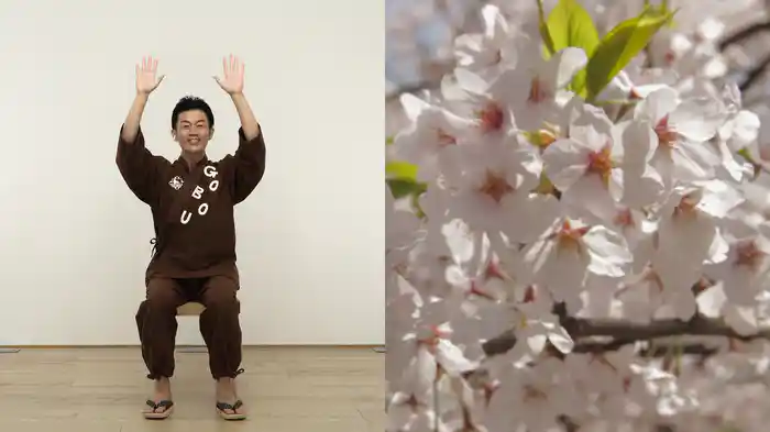 ごぼう先生といっしょ! 春・夏・秋・冬 目と耳で楽しむイス体操