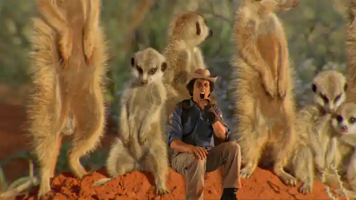 ゆかいなアニマル大冒険へGO!!