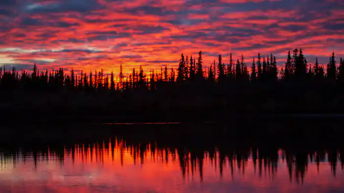 氷点下で生きるということ シリーズ4