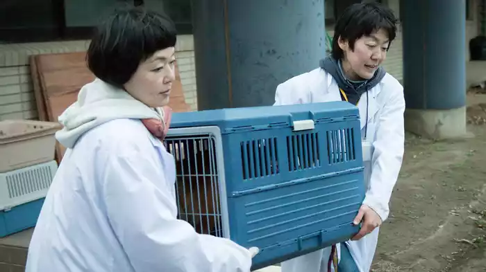 犬に名前をつける日