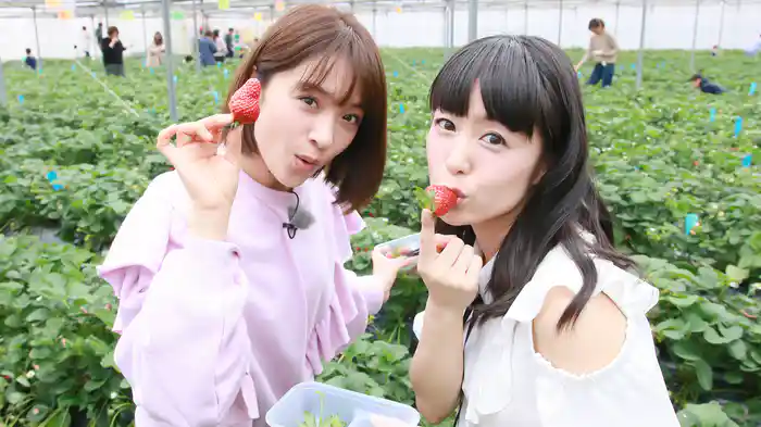 みひなな食堂