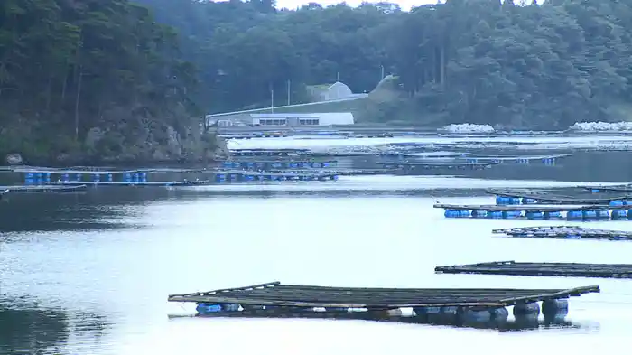 ガリレオX (2014)