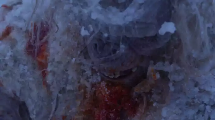 食人雪男