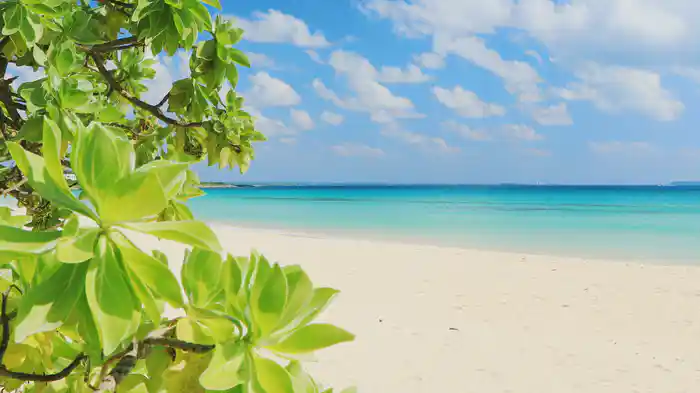 波音サラウンド 沖縄ベストビーチ(宮古・八重山)