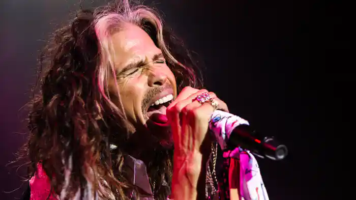 スティーヴン・タイラー：アウト・オン・ア・リム