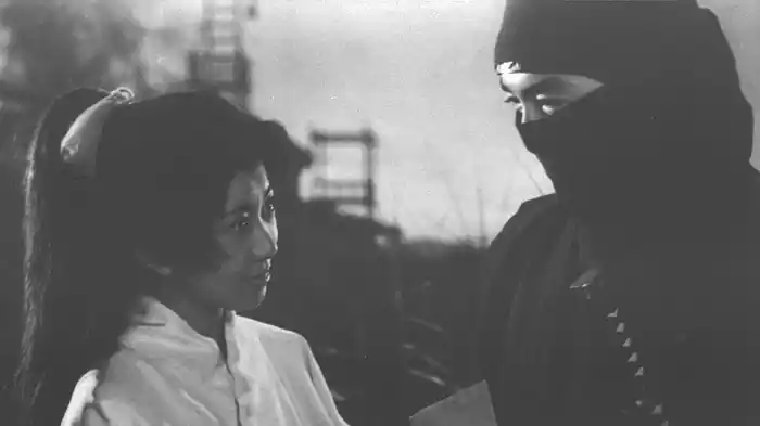 まぼろし黒頭巾 闇に飛ぶ影