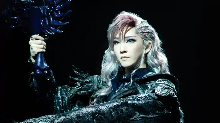 エリザベート－愛と死の輪舞－＜ルドルフ役替わり：明日海りお＞（'09年月組・宝塚）