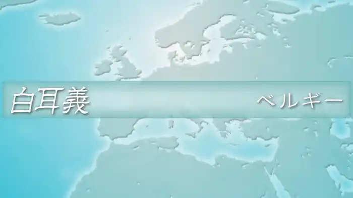 読めそうで読めない間違いやすい漢字 第1弾「教養編」