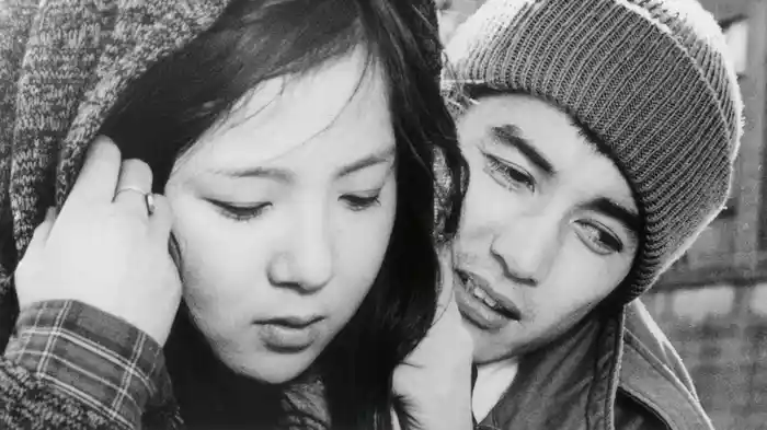 鷗よ、きらめく海をみたか めぐり逢い