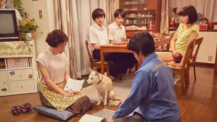 さくら