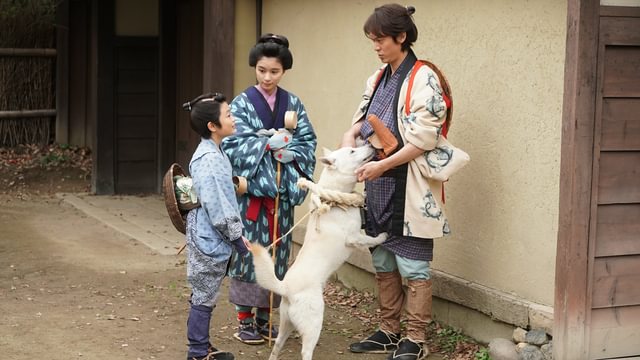 大江戸グレートジャーニー ～ザ・お伊勢参り～(国内ドラマ / 2020