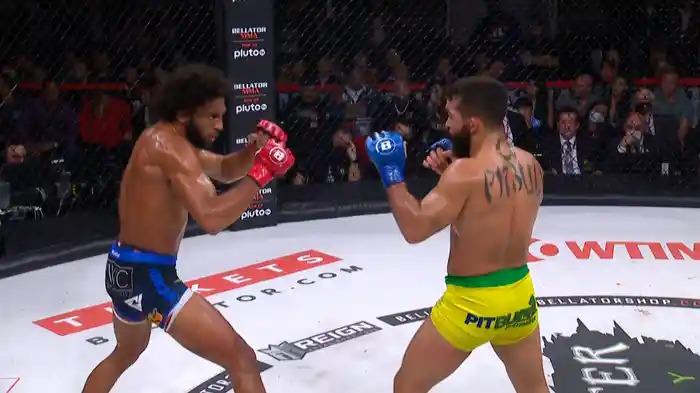 BELLATOR 277