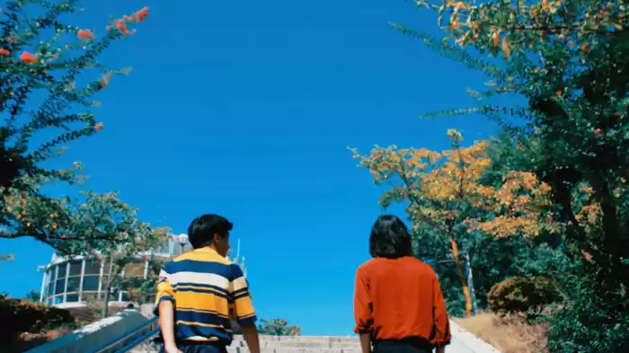 逆光