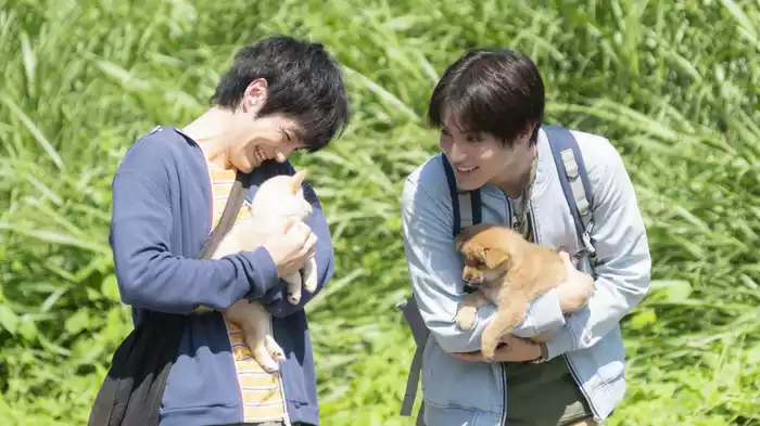 犬部！