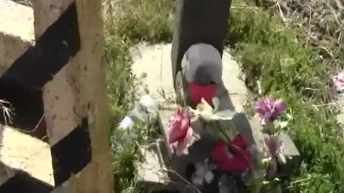 ～完全保存版～恐怖の怨霊ビデオ26