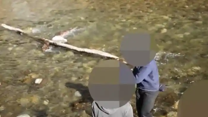 ～完全保存版～恐怖の怨霊ビデオ29