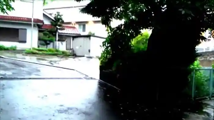 ～完全保存版～恐怖の怨霊ビデオ30