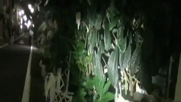 ～完全保存版～恐怖の怨霊ビデオ31