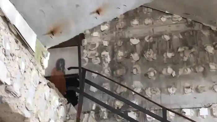 「いる。」~怖すぎる投稿映像13本~Vol.43