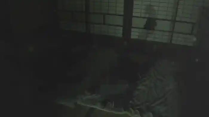 事件現場・事故物件心霊 怪編 10本