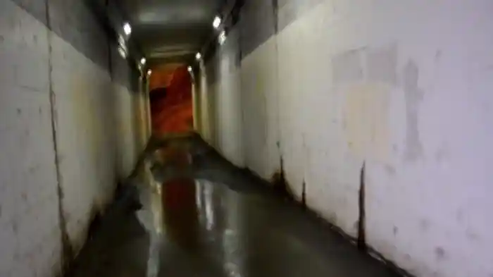 実録!!ほんとにあった恐怖の投稿映像～悪夢の怨霊～