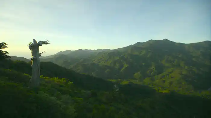 屋久島・白谷雲水峡【RELAX WORLD】