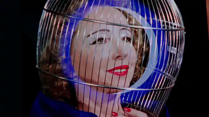 マジック・ランタン・サイクル