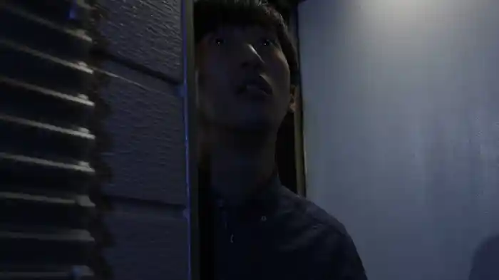 ネイバーフッドインベイション