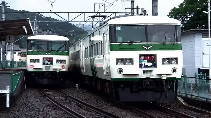 185系・251系 激走の記録～特急踊り子・スーパービュー踊り子～