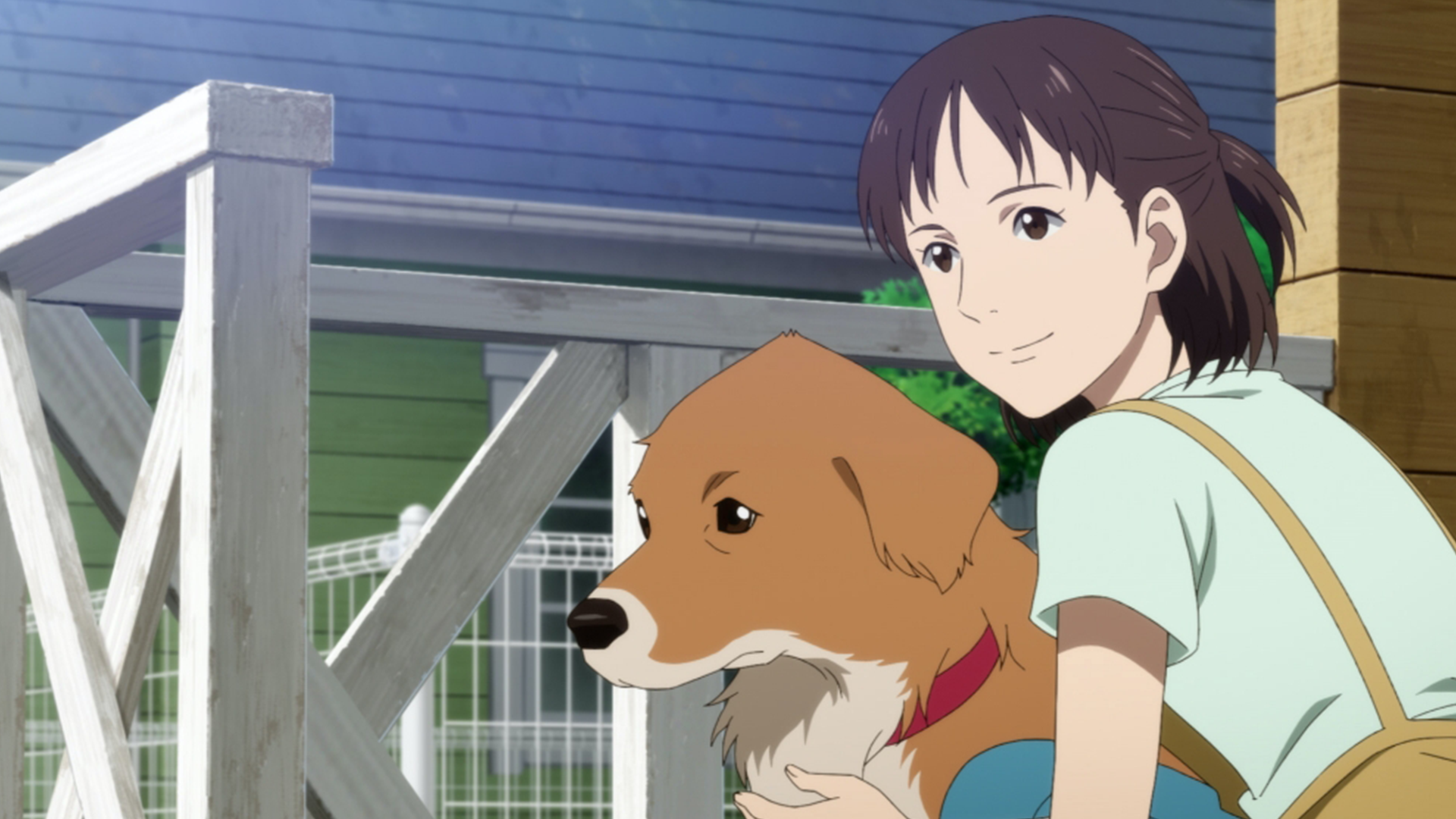とんがり頭のごん太 ―２つの名前を生きた福島被災犬の物語―