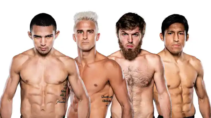 BELLATOR 282