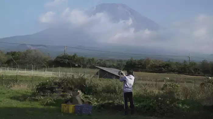 春待ちかぼちゃ