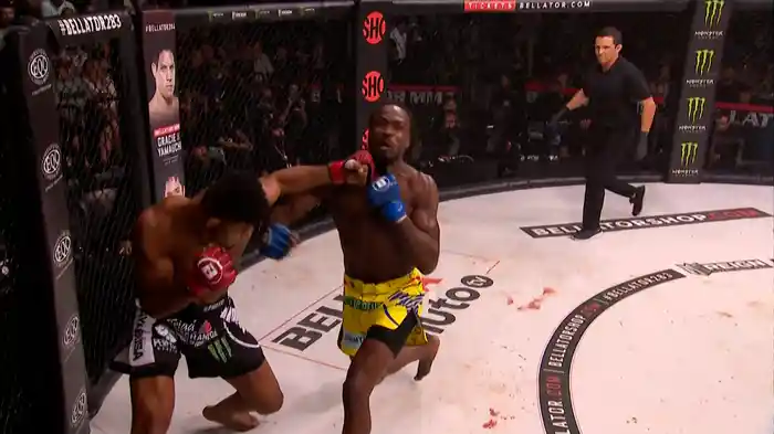 BELLATOR 283