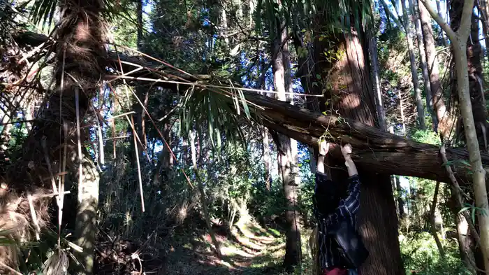 ほんとにあった！呪いのビデオ91