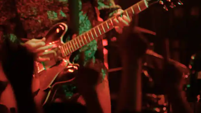 身も蓋もない水槽 (Live at 赤坂BLITZ, 2012/6/9)