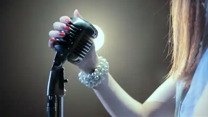 おやすみ泣き声、さよなら歌姫