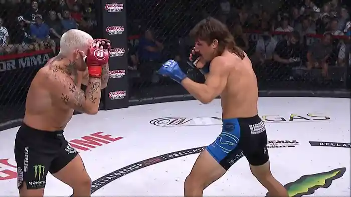 BELLATOR 284
