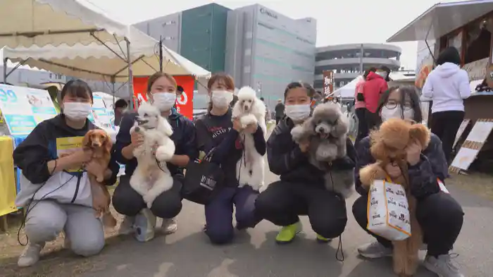 ドッグスポーツ アジリティー