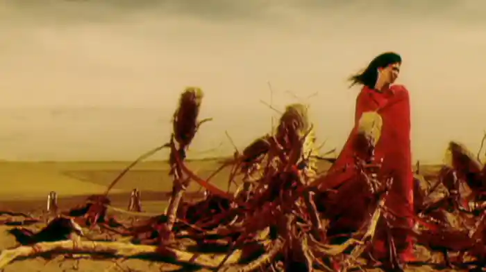 踊る鳥と金の雨