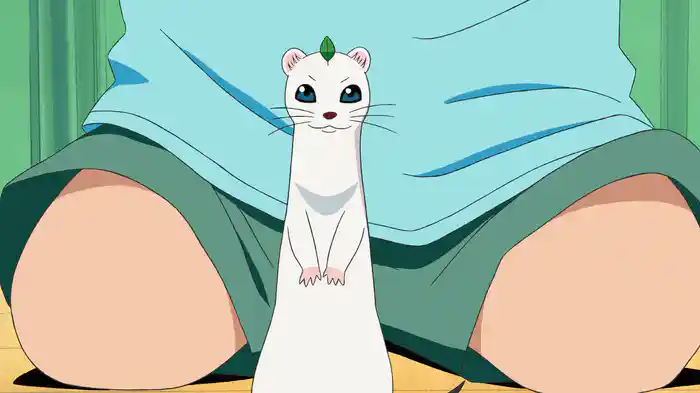 しあわせソウのオコジョさん