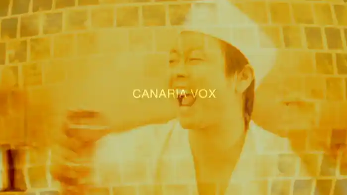 カナリア ボックス