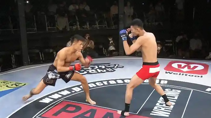 PANCRASE 323