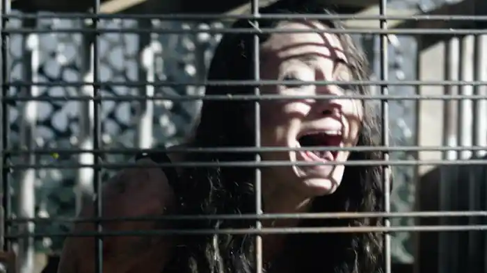 ケージ 檻の中の女