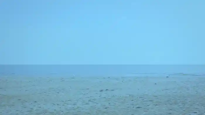 その線は水平線