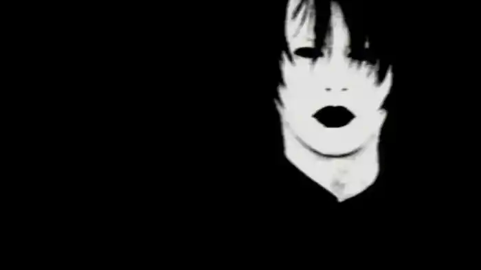 見えない物を見ようとする誤解　全て誤解だ