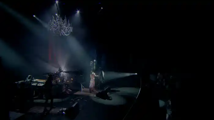 Lady Madonna ～憂鬱なるスパイダー～ (15th ANNIVERSARY TOUR -THE BEST- Live at SHOWA WOMEN’S UNIVERSITY HITOMI MEMORIAL HALL May 30th, 2015)