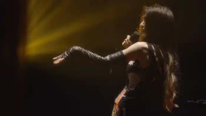 X (Live at 中野サンプラザホール 2017.7.14）