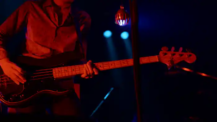 熱の花 (IN A LIFETIME, Live at SHIBUYA-AX, 2014.05.19)