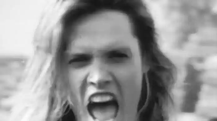 スキッド・ロウ：ヴィデオ・キルド・ザ・ラジオ・スター