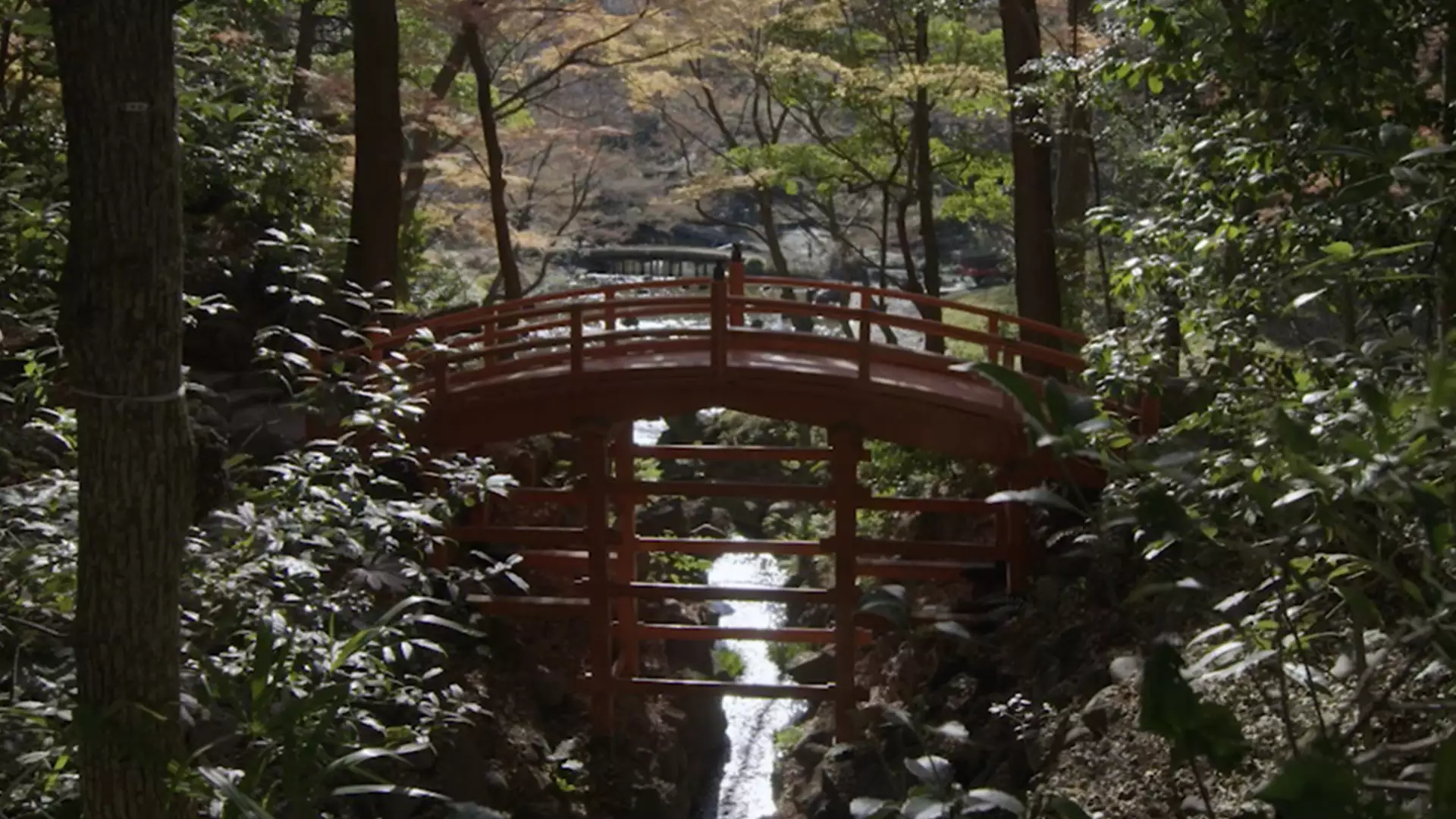 静謐の美・日本庭園と盆栽